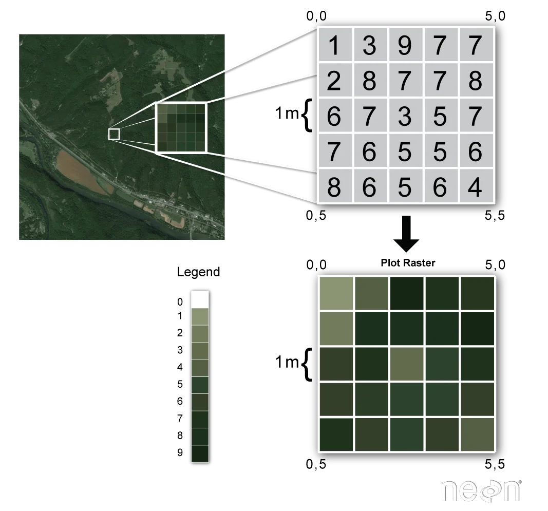 raster data concepts from NEON