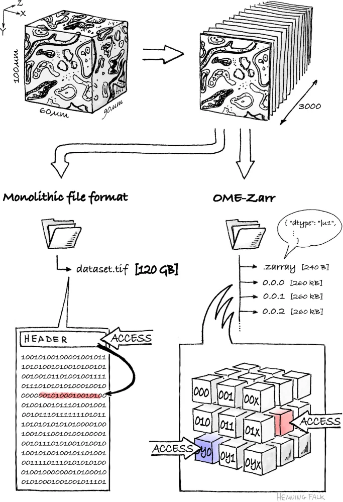 Zarr vs COG storage comparison